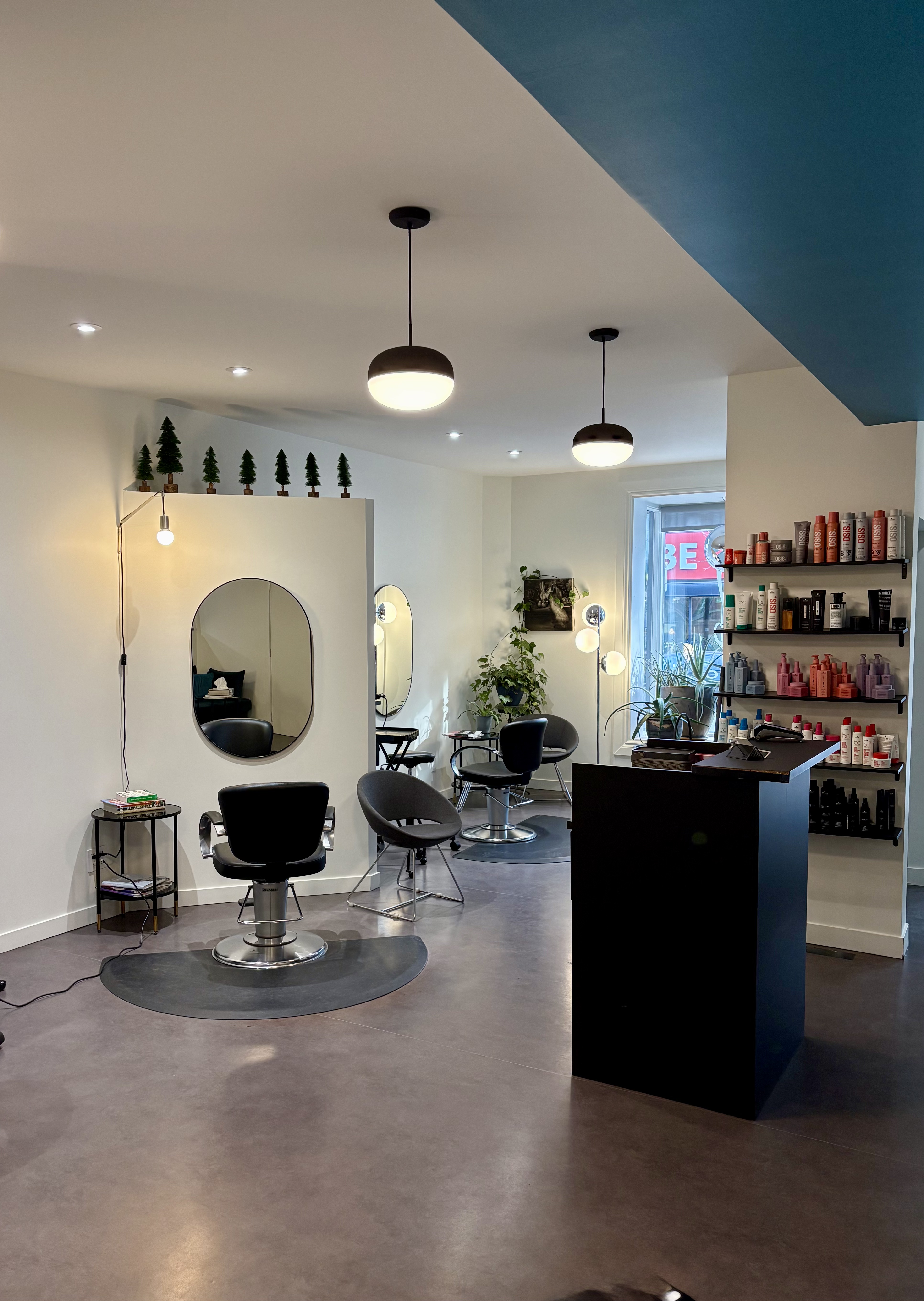 Espace coiffure du salon